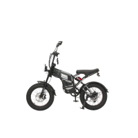 Minako Apex, Черный