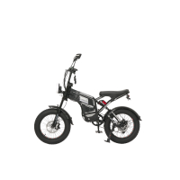 Электровелосипед Minako Apex, черный