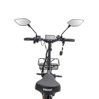 Электровелосипед Minako F10 Dual (полный привод), желтый 20ah