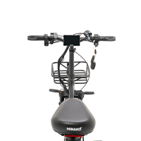 Minako F11 Dual (полный привод), Черный 20ah