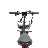 Электровелосипед Minako F11 Dual (полный привод), черный 20ah