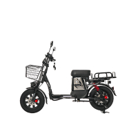 Minako Titan 2.0, Чёрный